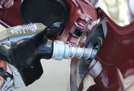 Petrolium - a close up of a person holding a gas pump
